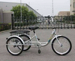 Велосипед трехколесный OMAKS OM-TR01-20-1 серебро колеса 24-20, 1 скорость